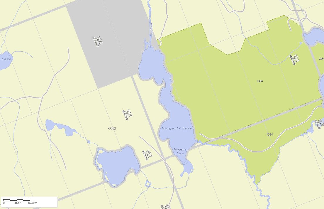 Crown Land Map of Morgans Lake in Municipality of Kearney and the District of Parry Sound